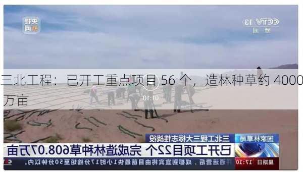 三北工程：已开工重点项目 56 个，造林种草约 4000 万亩