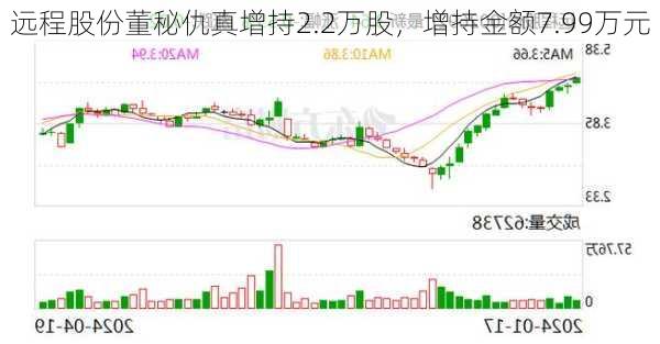 远程股份董秘仇真增持2.2万股，增持金额7.99万元