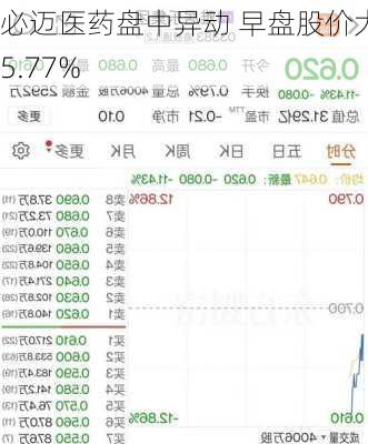 必迈医药盘中异动 早盘股价大涨5.77%