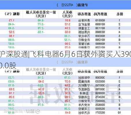 沪深股通|飞科电器6月6日获外资买入3900.0股