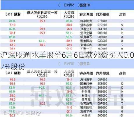 沪深股通|水羊股份6月6日获外资买入0.02%股份