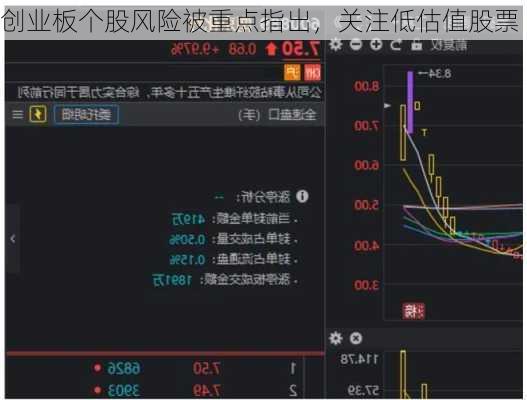 创业板个股风险被重点指出，关注低估值股票