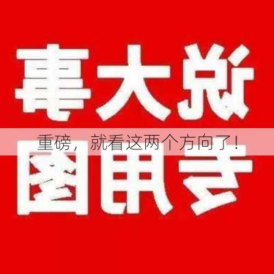 重磅，就看这两个方向了！