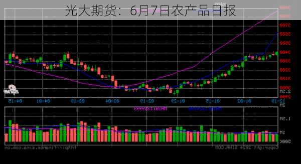 光大期货：6月7日农产品日报