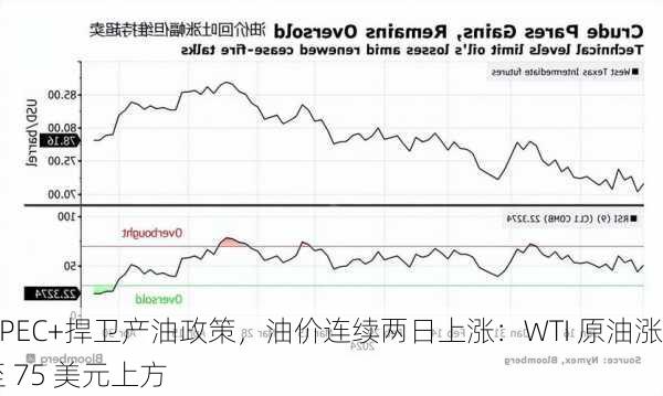 OPEC+捍卫产油政策，油价连续两日上涨：WTI 原油涨至 75 美元上方