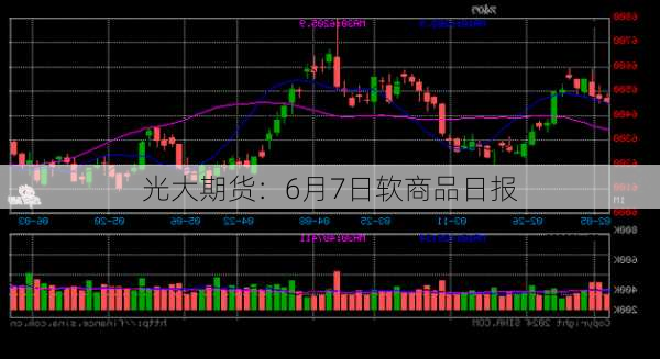 光大期货：6月7日软商品日报