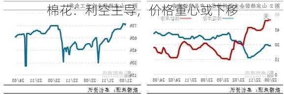 棉花：利空主导，价格重心或下移