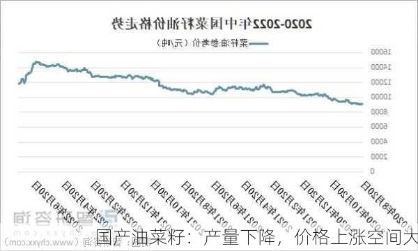 国产油菜籽：产量下降，价格上涨空间大