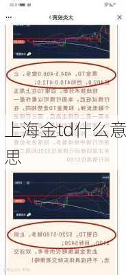 上海金td什么意思