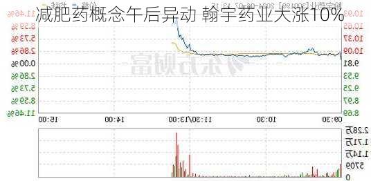 减肥药概念午后异动 翰宇药业大涨10%