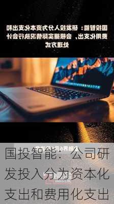 国投智能：公司研发投入分为资本化支出和费用化支出