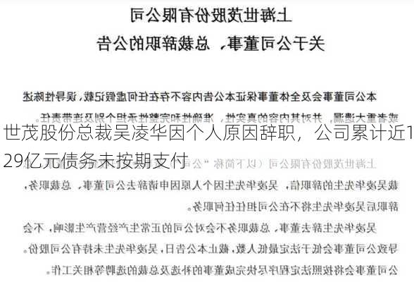 世茂股份总裁吴凌华因个人原因辞职，公司累计近129亿元债务未按期支付