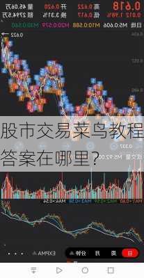 股市交易菜鸟教程答案在哪里？