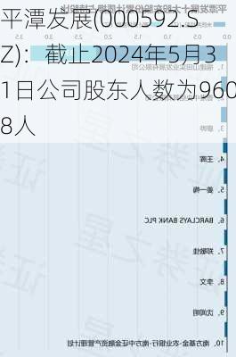 平潭发展(000592.SZ)：截止2024年5月31日公司股东人数为96008人