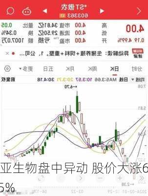 维亚生物盘中异动 股价大涨6.45%