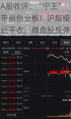 A股收评：“宁王”带崩创业板！沪指接近平收，微盘股反弹