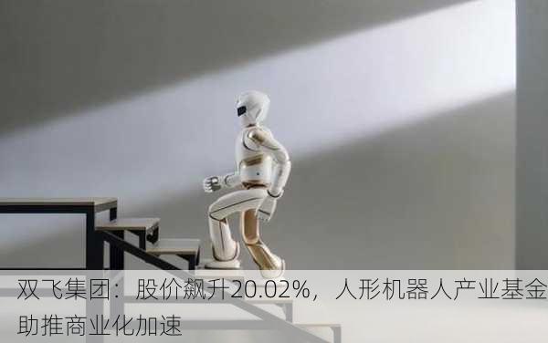 双飞集团：股价飙升20.02%，人形机器人产业基金助推商业化加速