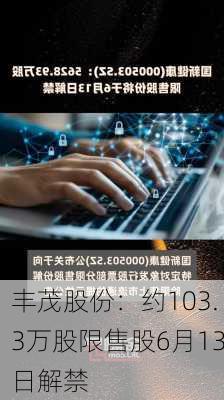 丰茂股份：约103.3万股限售股6月13日解禁