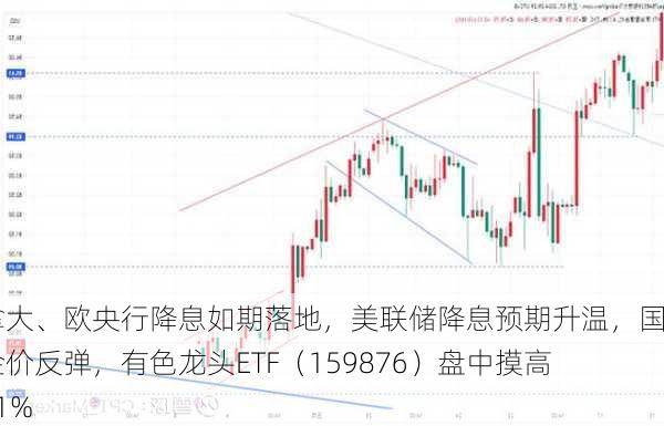 加拿大、欧央行降息如期落地，美联储降息预期升温，国际金价反弹，有色龙头ETF（159876）盘中摸高1．1%