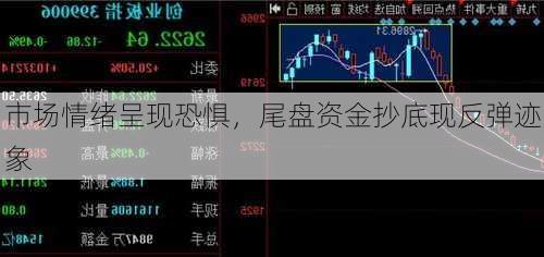 市场情绪呈现恐惧，尾盘资金抄底现反弹迹象