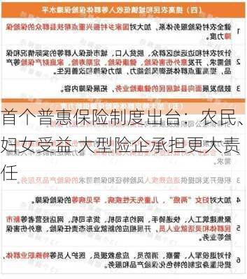 首个普惠保险制度出台：农民、妇女受益 大型险企承担更大责任