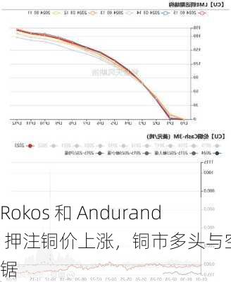 Rokos 和 Andurand 押注铜价上涨，铜市多头与空头拉锯