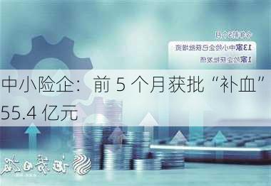 中小险企：前 5 个月获批“补血”255.4 亿元