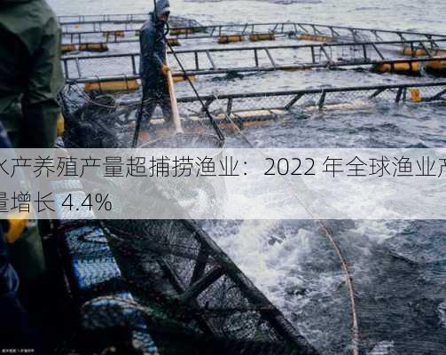 水产养殖产量超捕捞渔业：2022 年全球渔业产量增长 4.4%