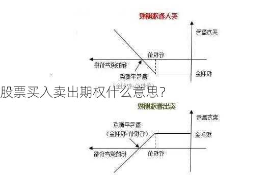 股票买入卖出期权什么意思？