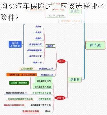 购买汽车保险时，应该选择哪些险种？