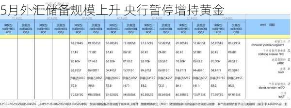 5月外汇储备规模上升 央行暂停增持黄金