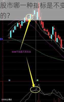 股市哪一种指标是不变的？