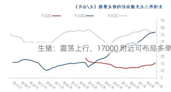 生猪：震荡上行，17000 附近可布局多单