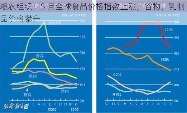 粮农组织：5 月全球食品价格指数上涨，谷物、乳制品价格攀升