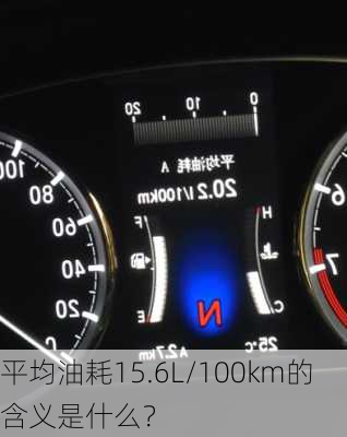 平均油耗15.6L/100km的含义是什么？