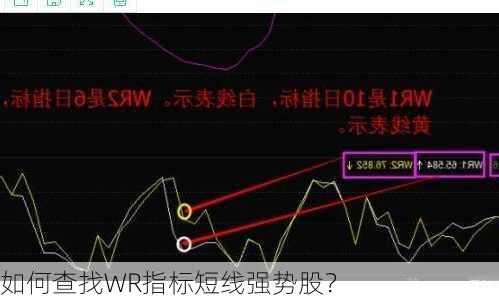 如何查找WR指标短线强势股？