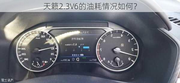 天籁2.3V6的油耗情况如何？