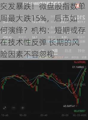 突发暴跌！微盘股指数单周最大跌15%，后市如何演绎？机构：短期或存在技术性反弹 长期的风险因素不容忽视