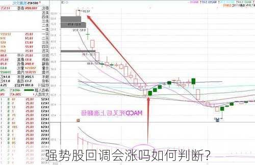 强势股回调会涨吗如何判断？