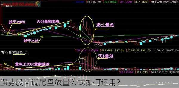 强势股回调尾盘放量公式如何运用？