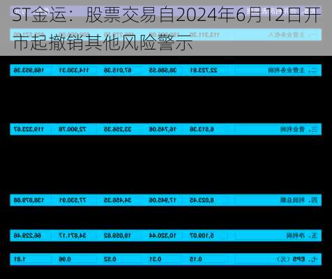 ST金运：股票交易自2024年6月12日开市起撤销其他风险警示