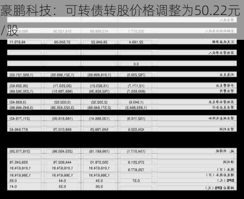 豪鹏科技：可转债转股价格调整为50.22元/股