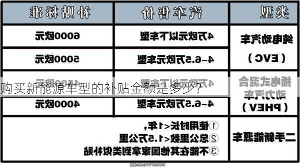 购买新能源车型的补贴金额是多少？