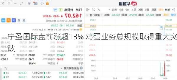宁圣国际盘前涨超13% 鸡蛋业务总规模取得重大突破