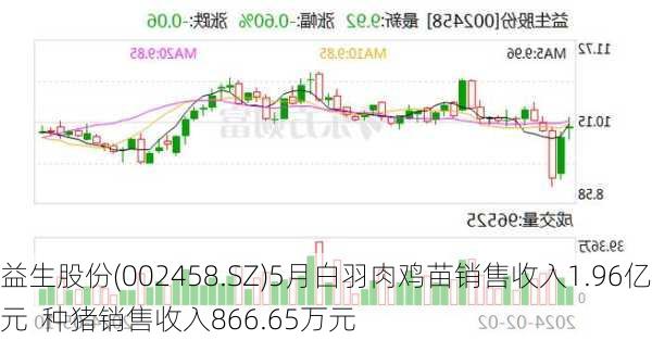 益生股份(002458.SZ)5月白羽肉鸡苗销售收入1.96亿元  种猪销售收入866.65万元