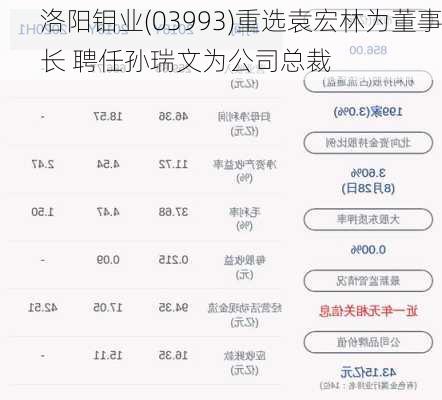 洛阳钼业(03993)重选袁宏林为董事长 聘任孙瑞文为公司总裁