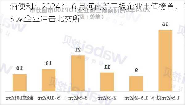 酒便利：2024 年 6 月河南新三板企业市值榜首，13 家企业冲击北交所