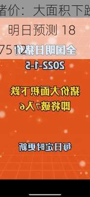 猪价：大面积下跌！明日预测 18.7512