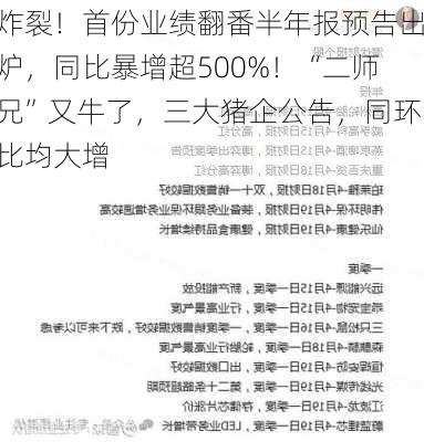 炸裂！首份业绩翻番半年报预告出炉，同比暴增超500%！“二师兄”又牛了，三大猪企公告，同环比均大增