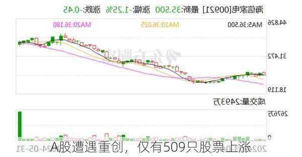 A股遭遇重创，仅有509只股票上涨